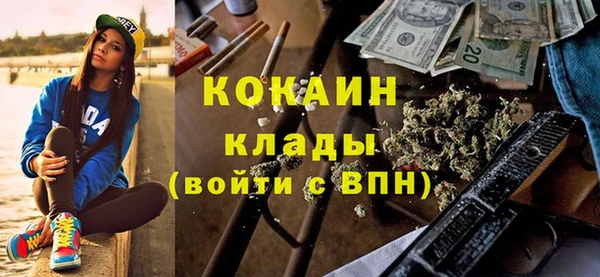 кокс Алексин