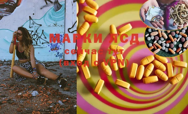 стаф Абаза