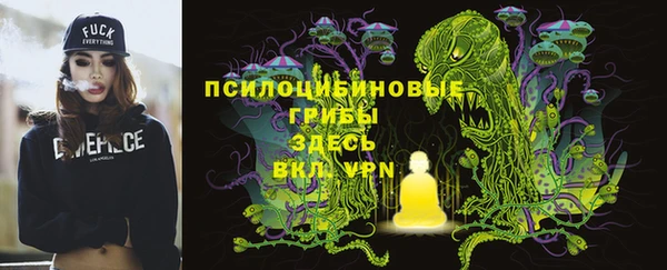 твердый Алексеевка