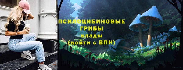 стаф Абаза